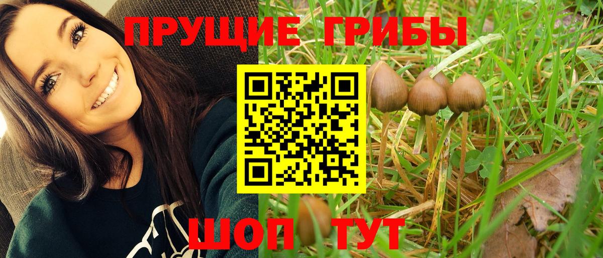 Галлюциногенные грибы Magic Shrooms  Вход с VPN  хочу   Петропавловск-Камчатский 